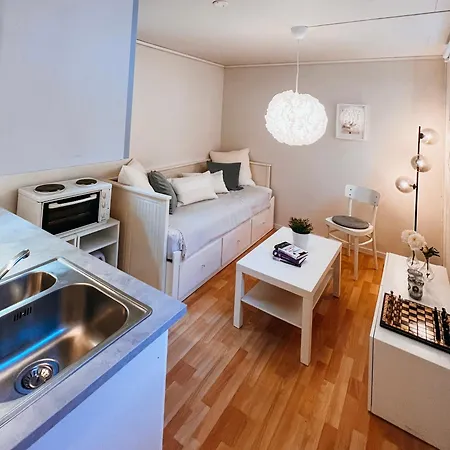 Fin Og Lys Studioleilighet Med Gratis Parkering Apartment *